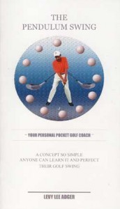 The Pendulum Swing by Lee Adger