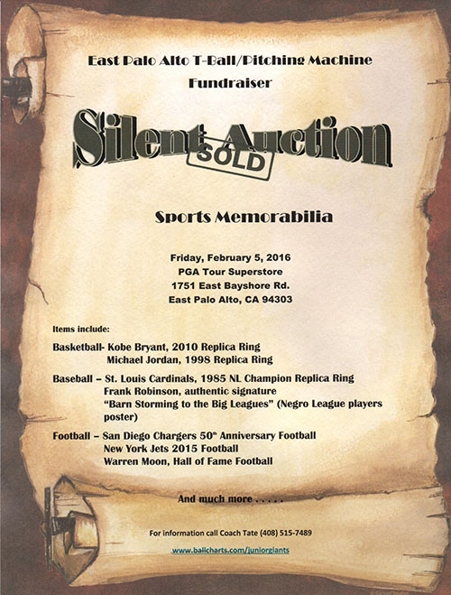 silent auction final_500