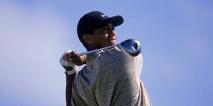 tiger comparison_600x350