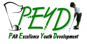 Par Excellence Youth Development-ogo