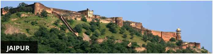 Four Points By Sheraton Jaipur